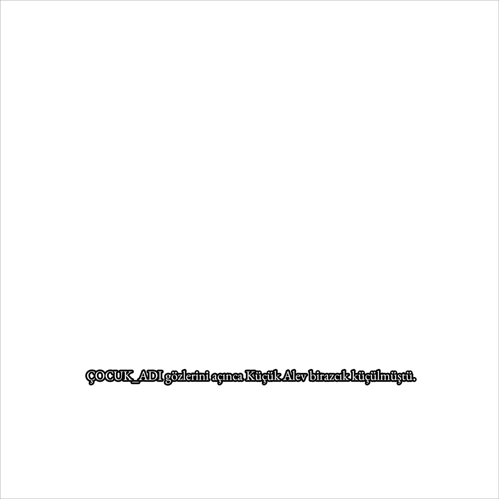 Book Cover Style 13